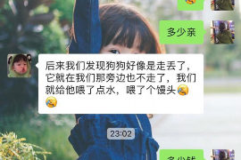 宁明如何避免债务纠纷？专业追讨公司教您应对之策